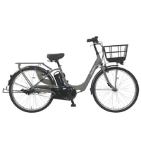 PELTECH X-Urban 36Vセンターモーターモデル 26型内装3段電動アシスト グレイ TDF-20Z-GRY