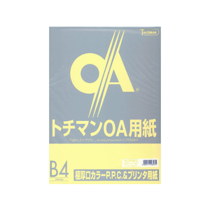 SAKAEテクニカルペーパー 極厚口カラーPPC B4 ライトレモン 50枚×5冊 FC65103-LPP-B4-LL-イメージ1