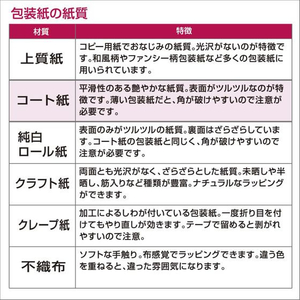 タカ印 包装紙 らくがきサンタ緑 半才判 FCE865M-49-3075-イメージ6