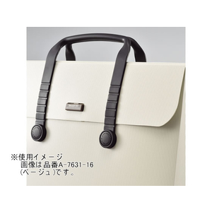 リヒトラブ SMART FIT キャリングバッグ A3 ブラック F114277-A-7631-24-イメージ2