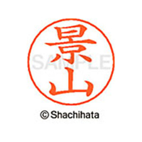 シヤチハタ ネームペン用ネーム シルバー 既製 景山 FC46617-X-GPS-0846