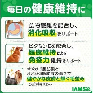 マースジャパン アイムス犬 成犬用 健康維持 ラムライス 小粒 12kg FCJ500P-イメージ3