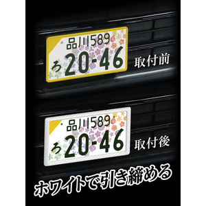 星光産業 カーボンフレームセット WH FCJ831E-EX220-イメージ2