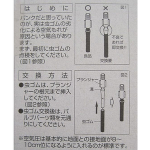 サギサカ 虫ゴム 50cm 32149 FCE906X-63-3410-18-イメージ2