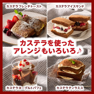 井村屋 カステラ長崎 チョコレート 4切れ入り FCJ209T-イメージ6