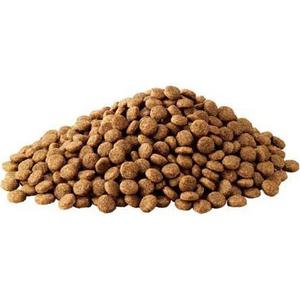 マースジャパン アイムス犬 成犬用 健康維持 ラムライス 小粒 5kg FCJ502P-イメージ2