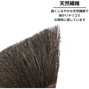 日本クリンテック ほうきちりとりセット 黒シダ FCG085Y-イメージ2