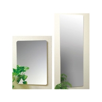 セフティーミラー 特大 SF-15 FCM8376-011757015