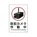 日本緑十字社 緑十字/イラスト標識 防犯カメラ作動中 エンビ FC505FY-8248134