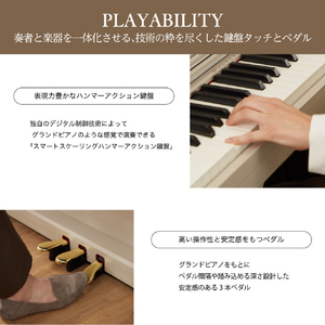 カシオ 電子ピアノ【高低自在椅子付き】 CELVIANO ローズウッド調 AP-300BN-イメージ10