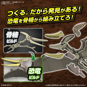 バンダイスピリッツ プラノサウルス プテラノドン ﾌﾟﾗﾉｻｳﾙｽ07ﾌﾟﾃﾗﾉﾄﾞﾝ-イメージ4