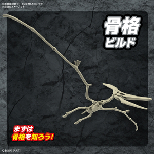 バンダイスピリッツ プラノサウルス プテラノドン ﾌﾟﾗﾉｻｳﾙｽ07ﾌﾟﾃﾗﾉﾄﾞﾝ-イメージ5