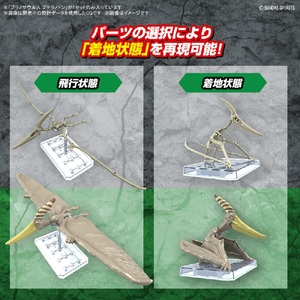 バンダイスピリッツ プラノサウルス プテラノドン ﾌﾟﾗﾉｻｳﾙｽ07ﾌﾟﾃﾗﾉﾄﾞﾝ-イメージ7