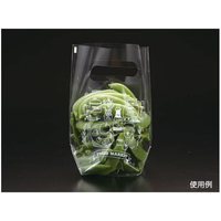 パックスタイル スタンドバッグ No.4B 100枚 FC109SH-00536372