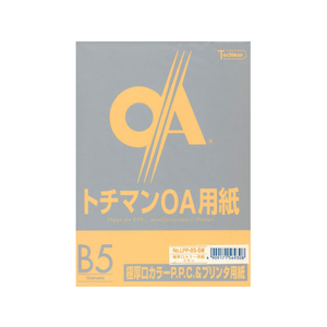 SAKAEテクニカルペーパー 極厚口カラーPPC B5 スキン 50枚×5冊 FC65109-LPP-B5-SW-イメージ1