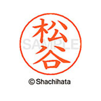 シヤチハタ ネームペン用ネーム シルバー 既製 松谷 FC47610-X-GPS-1839