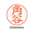 シヤチハタ ネームペン用ネーム シルバー 既製 角谷 FC46624-X-GPS-0853