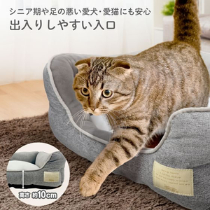 ペットプロジャパン Homey オールシーズンスクエアベッド M グレー FCE843T-イメージ7