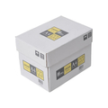 APP カラーコピー用紙 クリーム A4 500枚×5冊 1箱(500枚×5冊) F173928-CPY001