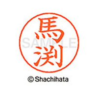 シヤチハタ ネームペン用ネーム シルバー 既製 馬渕 FC47613-X-GPS-1842