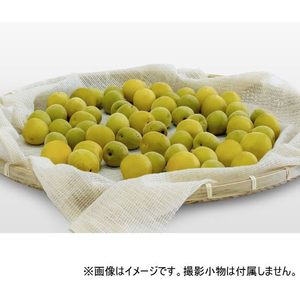 サンベルム 蒸し布(4升用88×88cm) FCE733R-K42329-イメージ6