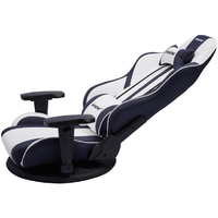 AKRacing GYOKUZA/V2-WHITE 極坐 V2 ホワイト|エディオン公式通販