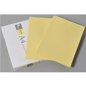 APP カラーコピー用紙 クリーム A4 500枚 1冊(500枚) F173929-CPY001-イメージ2