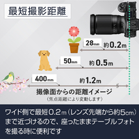 ニコン NZ28-400 単焦点レンズ NIKKOR Z |エディオン公式通販