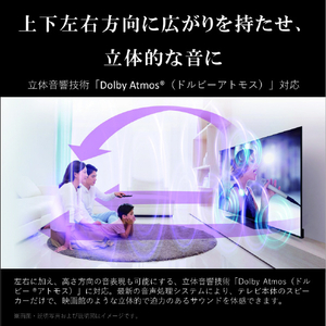TOSHIBA/REGZA 55V型4Kチューナー内蔵4K対応有機ELテレビ X9900Mシリーズ 55X9900M-イメージ15