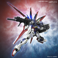 バンダイスピリッツ RG39ﾌｵ-ｽｲﾝﾊﾟﾙｽSPEC2 機動戦士ガンダムSEED