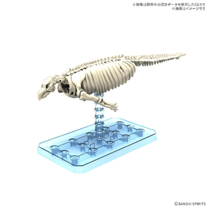 バンダイスピリッツ プラノサウルス ステラーカイギュウ ﾌﾟﾗﾉｻｳﾙｽG08ｽﾃﾗ-ｶｲｷﾞﾕｳ-イメージ2