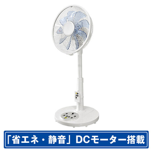 ReeD DCモーター搭載リモコン付30cmリビング扇風機 ホワイト RD-BDC3006W ReeD DCモーター搭載リモコン付30cmリビング扇風機 ホワイト RD-BDC3006W
