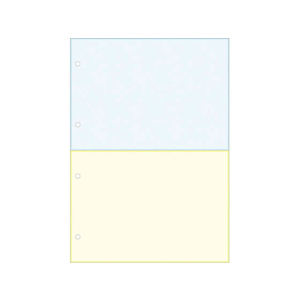 Forestway プリンタ帳票マルチタイプA4 カラー 2面 4穴 500枚 F118115-ABC1-302-204C-イメージ2