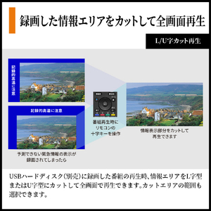 シャープ 43V型4Kチューナー内蔵4K対応液晶テレビ AQUOS XLED 4T-43X7A-イメージ15