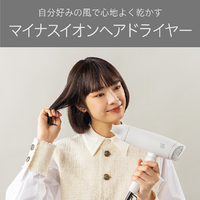 VS VSD-1242/WJ マイナスイオンヘアドライヤー ホワイト|エディオン