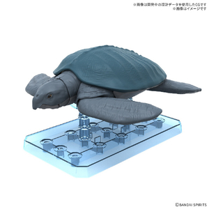 バンダイスピリッツ プラノサウルス アーケロン ﾌﾟﾗﾉｻｳﾙｽG09ｱ-ｹﾛﾝ-イメージ1