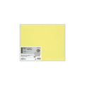 コクヨ 個別フォルダー(カラー・PP製) A4 黄色 5冊 F857202-A4-IFH-Y