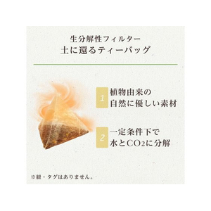 伊藤園 TULLY’S&TEA アールグレイ&オレンジティ 12袋×10個 FC247TF-イメージ4