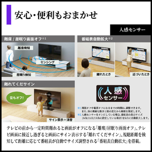 シャープ 55V型4Kチューナー内蔵4K対応有機ELテレビ AQUOS OLED 4T-55S9A-イメージ10