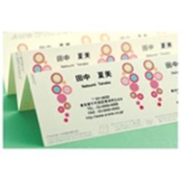 専用② エーワン A-ONE.51295 マルチカード インクジェットプリンタ専用紙