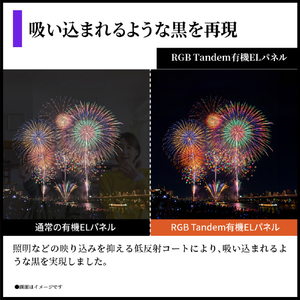 シャープ 48V型4Kチューナー内蔵4K対応有機ELテレビ AQUOS OLED 4T-48S9A-イメージ3
