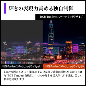 シャープ 48V型4Kチューナー内蔵4K対応有機ELテレビ AQUOS OLED 4T-48S9A-イメージ5