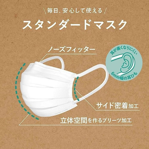 白元アース 快適ガード スタンダードマスク レギュラー 40枚 FC90611-イメージ2