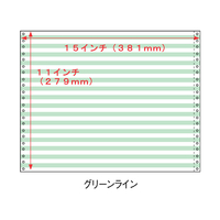 コンピュータ連続用紙 カラーフォーム用紙 15×11グリーンライン 2000枚 F807178-S1511G