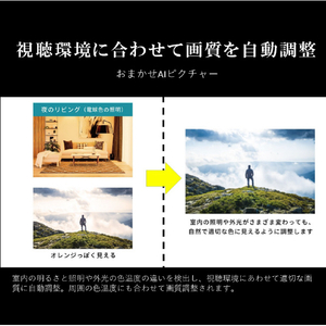 REGZA 65V型4Kチューナー内蔵4K対応液晶テレビ M550Mシリーズ 65M550M-イメージ13