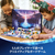 レゴジャパン LEGO  43273ディズニー アナと雪の女王アドベントカレンダー 2025 43273DｱﾅﾕｷｱﾄﾞﾍﾞﾝﾄC2025-イメージ8