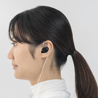 ファイナルオーディオ FI-A5DPLD カナル型インイヤーモニター