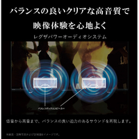 未使用　最新型　東芝　レグザ　43V型　M550M　ネット対応4K液晶テレビ 未使用最新型東芝レグザ43V型M550Mネット対応4K液晶テレビ