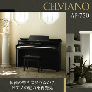 カシオ 電子ピアノ CELVIANO グレーベージュウッド調 AP-750GB-イメージ7