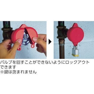 パンドウイットコーポレーション ゲートバルブロックアウト 赤 FC452FU-3604233-イメージ4